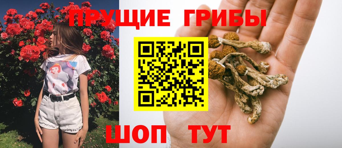 Галлюциногенные грибы Cubensis  Вход с VPN  Назарово  Галлюциногенные грибы прущие грибы 